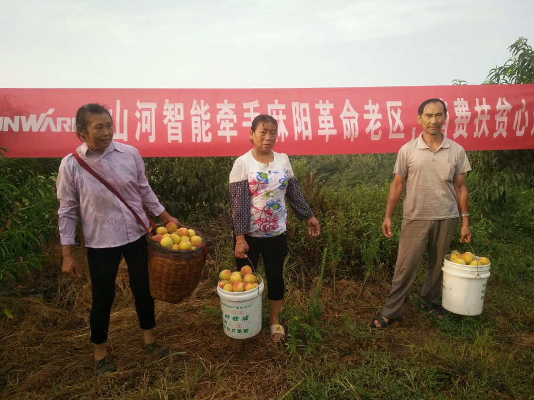 点赞！金年会金字招牌智能成功入选“上市公司乡村振兴优秀实践案例”